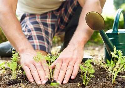 Mulching